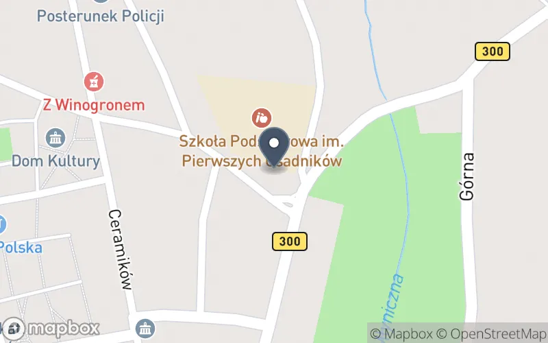 Lokalizacja: Zespół Szkolno-Przedszkolny w Gozdnicy