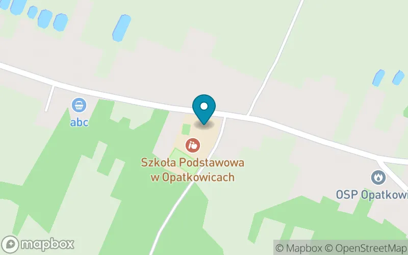 Lokalizacja: Szkoła Podstawowa w Opatkowicach