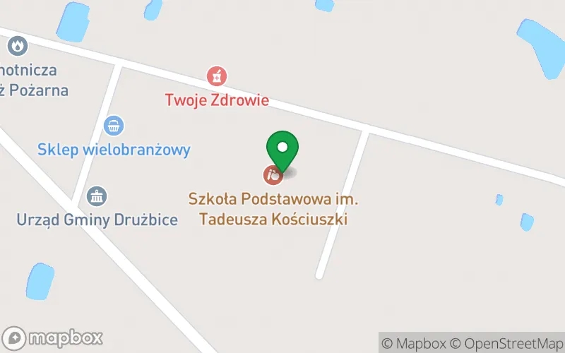 Lokalizacja: Punkt Przedszkolny w Szkole Podstawowej im. Tadeusza Kościuszki w Drużbicach