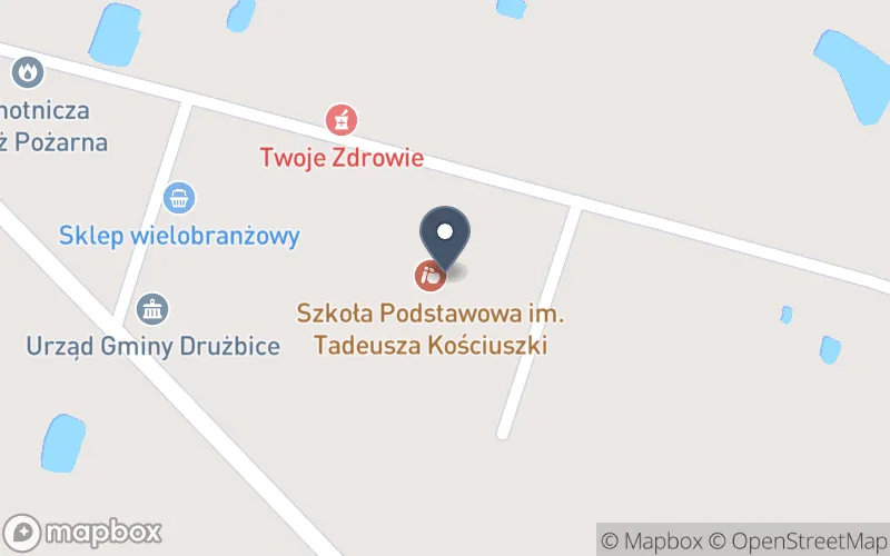 Lokalizacja: Zespół Szkolno - Przedszkolny w Drużbicach