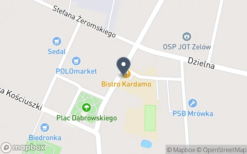 Lokalizacja: Zespół Szkół Ponadpodstawowych im. Jana Kilińskiego w Zelowie