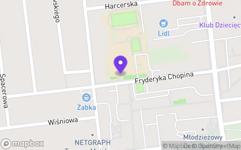 Lokalizacja: Technikum Zawodowe nr 2 w Zespole Szkół nr 2 w Lubartowie