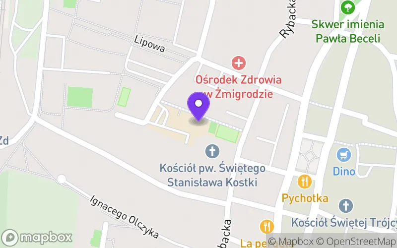 Lokalizacja: Branżowa Szkoła I Stopnia w Zespole Szkół Specjalnych w Żmigrodzie