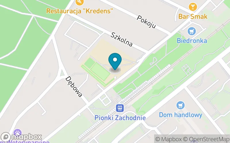 Lokalizacja: Publiczna Szkoła Podstawowa nr 1 im. Stefana Żeromskiego w Pionkach