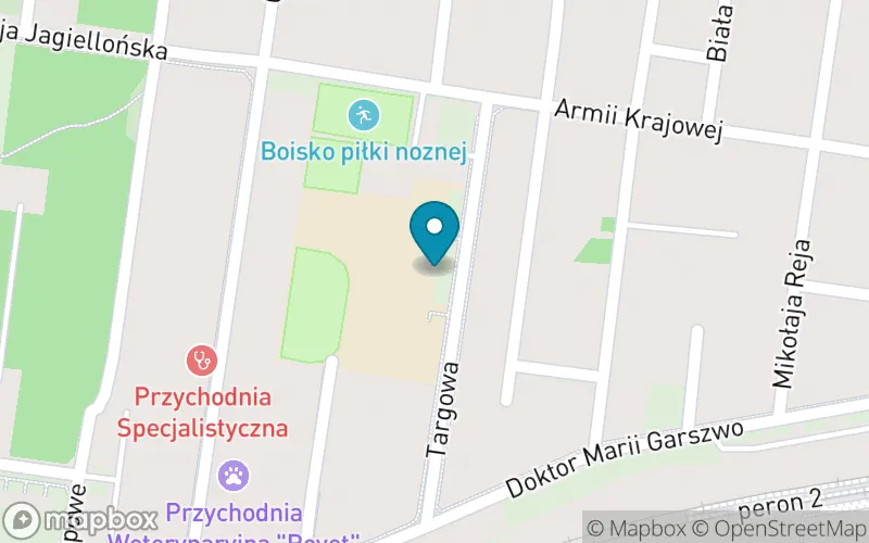 Lokalizacja: Publiczna Szkoła Podstawowa z Oddziałami Integracyjnymi i Sportowymi nr 5 im. Jana Pawła II w Pionkach