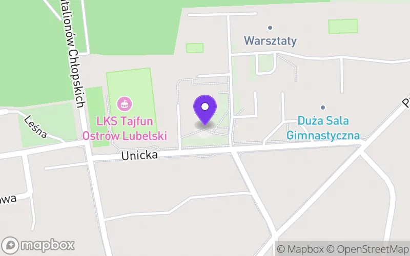 Lokalizacja: Branżowa Szkoła I Stopnia nr 1 w Zespole Szkół w Ostrowie Lubelskim