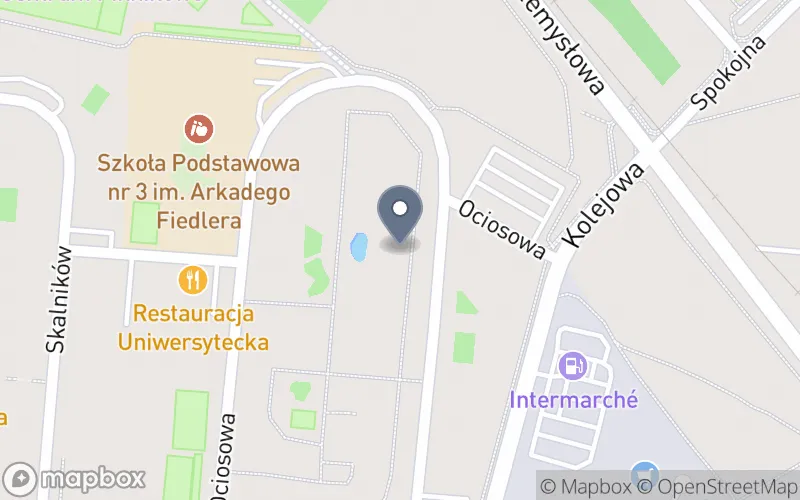 Lokalizacja: Ośrodek Szkolenia i Doskonalenia Zawodowego Eko-Car w Polkowicach