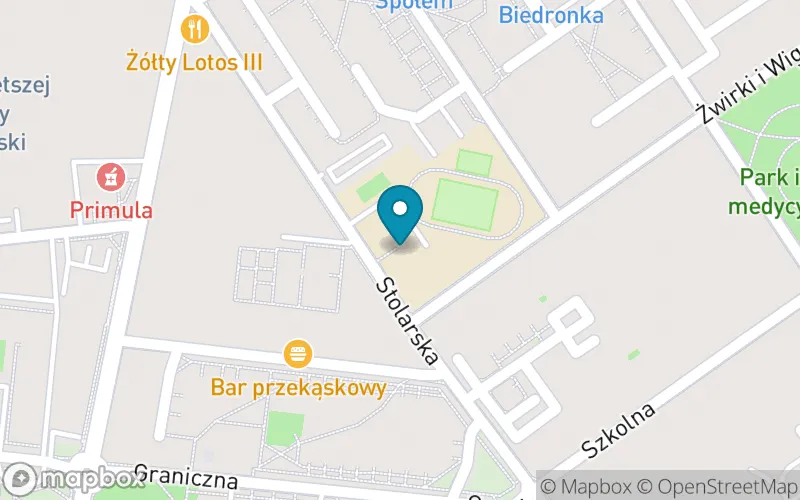 Lokalizacja: Szkoła Podstawowa nr 8 w Tomaszowie Mazowieckim