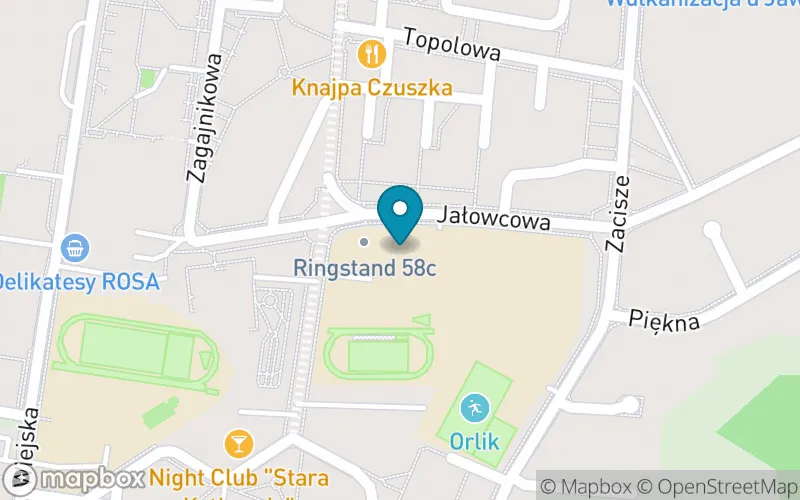 Lokalizacja: Szkoła Podstawowa nr 9 im. Ks. Jana Twardowskiego w Tomaszowie Mazowieckim