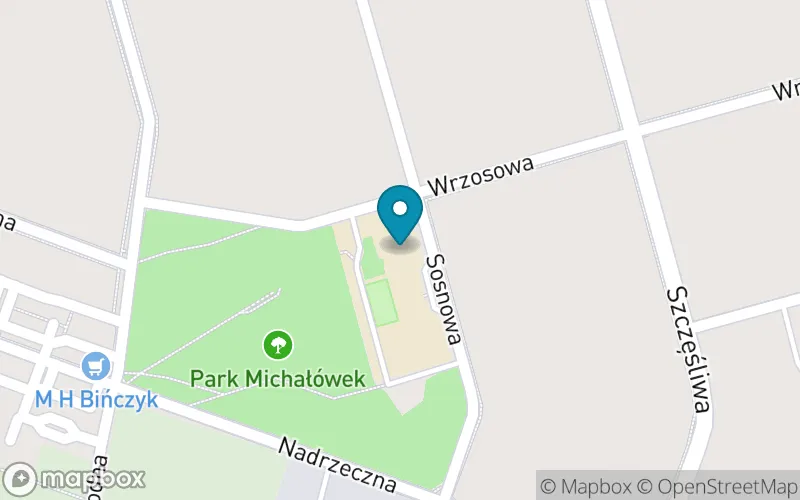 Lokalizacja: Szkoła Podstawowa Tomek w Tomaszowie Mazowieckim