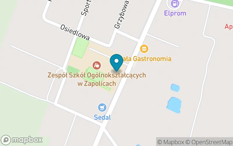 Lokalizacja: Szkoła Podstawowa im. 4. Pułku Piechoty Legionów w Zapolicach