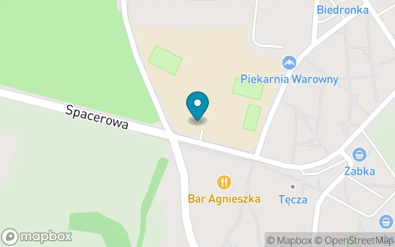Lokalizacja: Szkoła Podstawowa nr 4 im. Bohaterów Lotnictwa Polskiego w Dęblinie