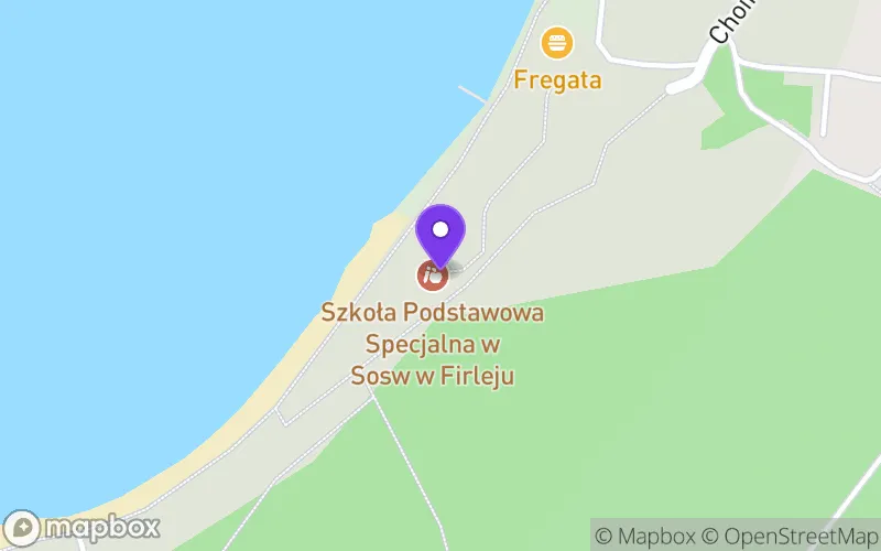 Lokalizacja: Branżowa Szkoła Specjalna I Stopnia nr 1 w Sosw w Firleju