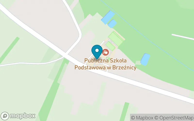 Lokalizacja: Publiczna Szkoła Podstawowa w Brzeźnicy
