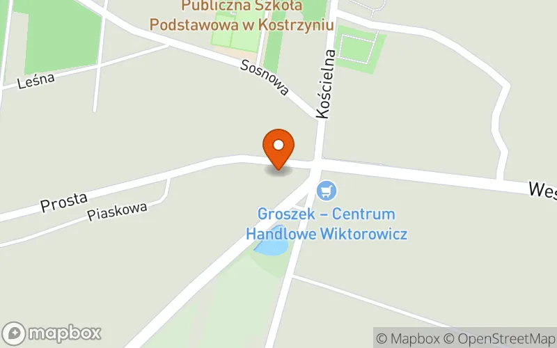 Lokalizacja: Niepubliczny Żłobek "Leśne skrzaty"