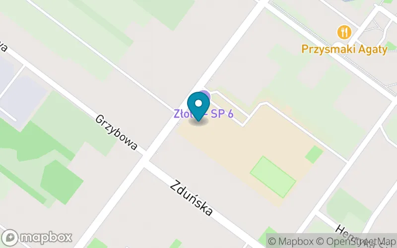 Lokalizacja: Szkoła Podstawowa nr 6 im. Mikołaja Kopernika w Zduńskiej Woli