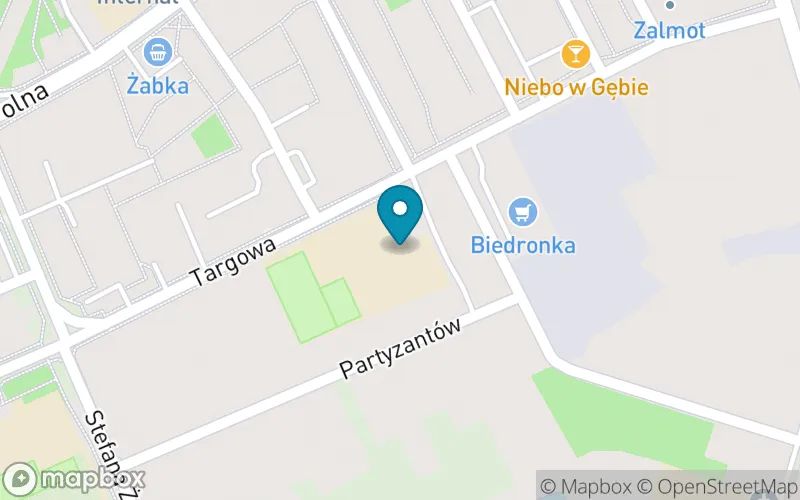 Lokalizacja: Szkoła Podstawowa nr 4 im. Marii Konopnickiej w Sieradzu