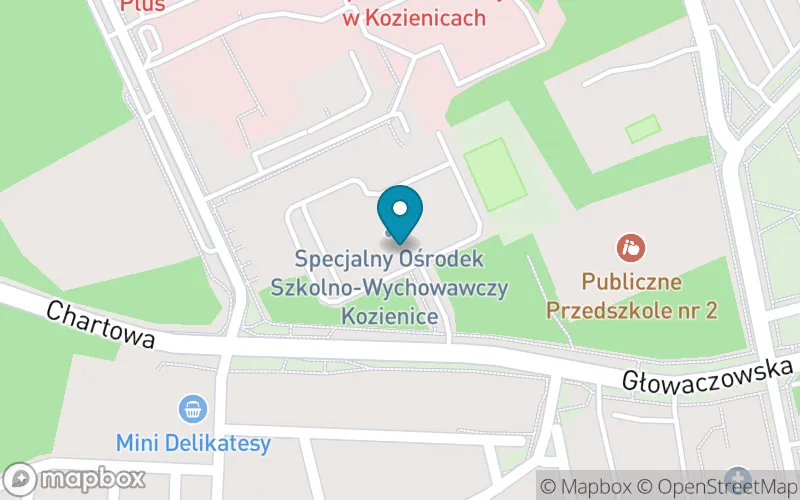 Lokalizacja: Specjalny Ośrodek Szkolno-Wychowawczy Publiczna Szkoła Podstawowa w Kozienicach