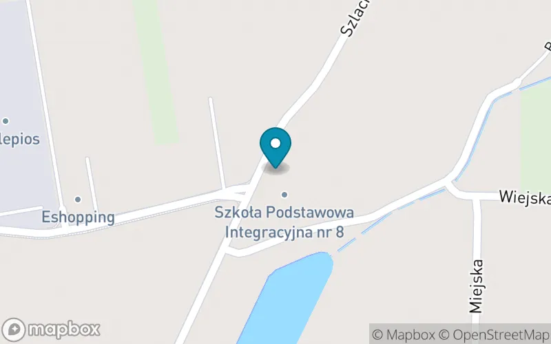 Lokalizacja: Szkoła Podstawowa Integracyjna nr 8