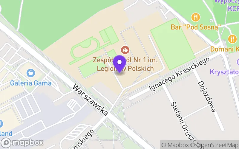 Lokalizacja: Technikum w Zespole Szkół nr 1 im. Legionów Polskich w Kozienicach