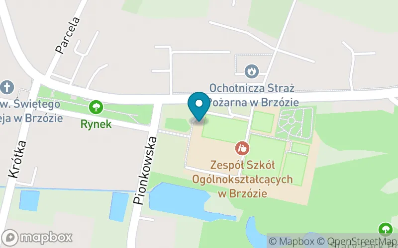 Lokalizacja: Publiczna Szkoła Podstawowa IM W.b. Głowackiego w Brzózie