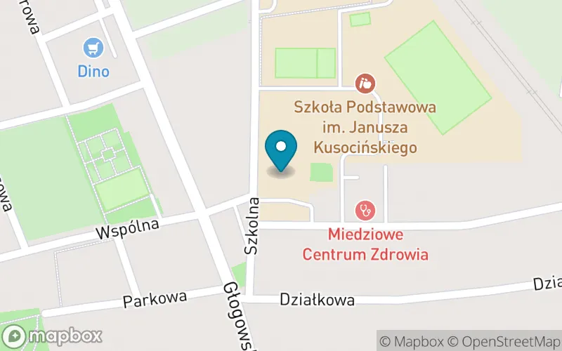 Lokalizacja: Szkoła Podstawowa im. Janusza Kusocińskiego w Grębocicach