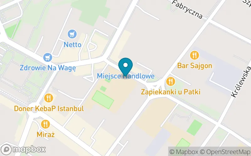 Lokalizacja: Szkoła Podstawowa nr 11 im. Stefana Żeromskiego w Zduńskiej Woli