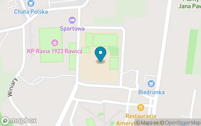 Lokalizacja: Szkoła Podstawowa nr 4 z Oddziałami Sportowymi im. Polskich Olimpijczyków w Rawiczu
