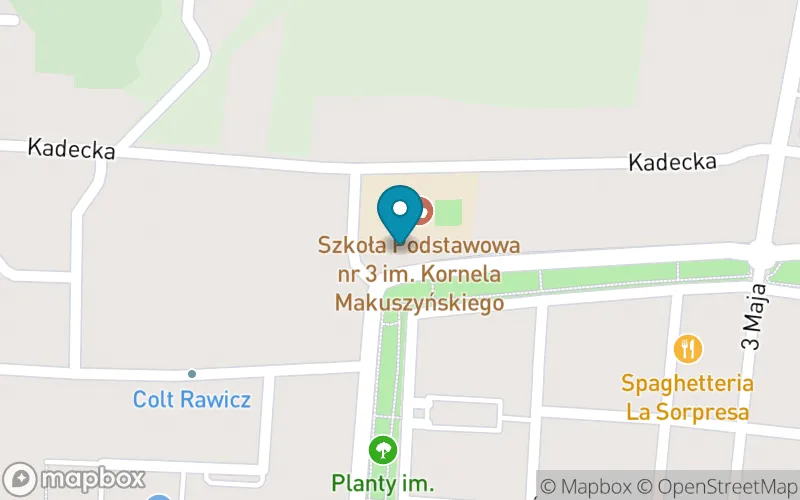 Lokalizacja: Szkoła Podstawowa nr 3 IM Kornela Makuszyńskiego w Rawiczu