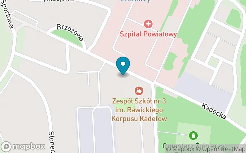Lokalizacja: Szkoła Podstawowa Specjalna nr 7 w Rawiczu