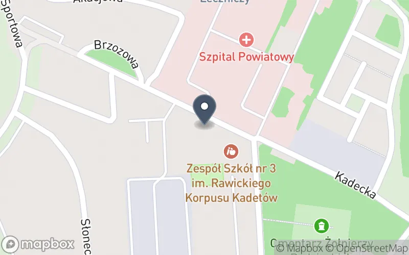 Lokalizacja: Zespół Szkół Specjalnych im. Jana Pawła II w Rawiczu