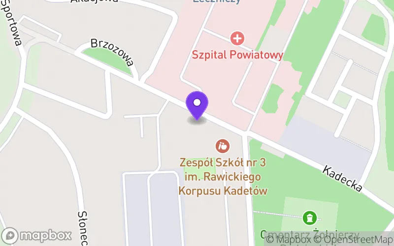 Lokalizacja: Branżowa Szkoła Specjalna I Stopnia w Rawiczu