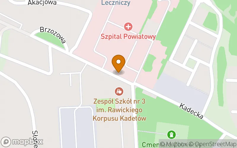 Lokalizacja: Medyczne Studium Zawodowe w Rawiczu