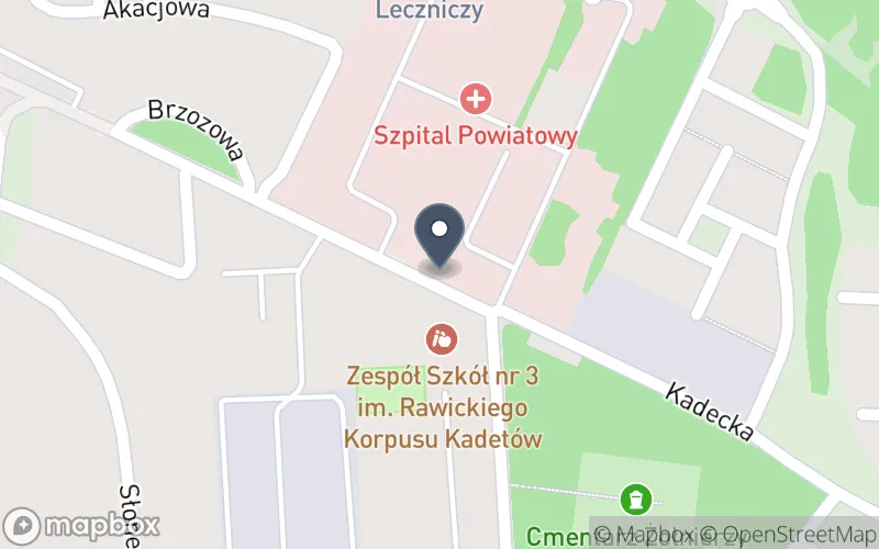 Lokalizacja: Wielkopolskie Samorządowe Centrum Kształcenia Zawodowego i Ustawicznego w Rawiczu