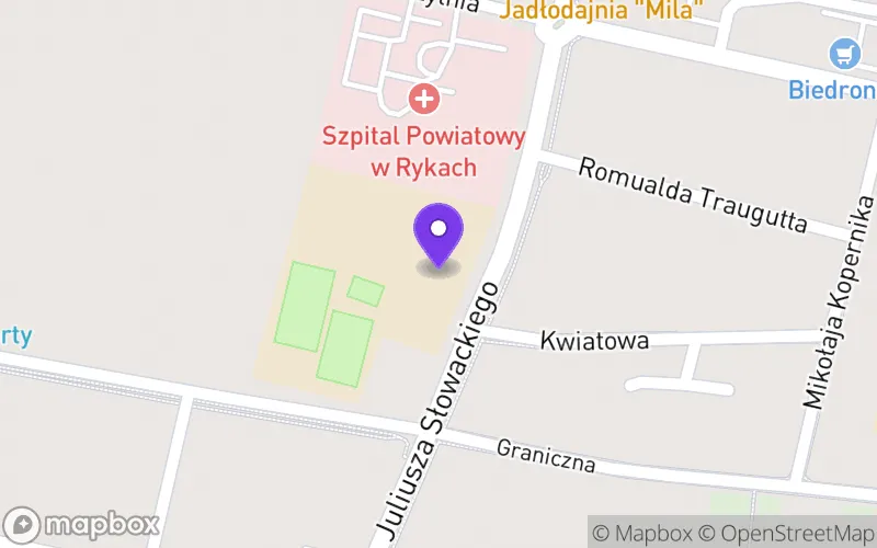 Lokalizacja: I Liceum Ogólnokształcące im. M. Skłodowskiej - Curie w Rykach