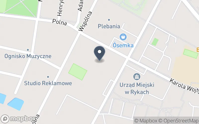 Lokalizacja: Zespół Szkół Zawodowych nr 2 im. Leona Wyczółkowskiego w Rykach
