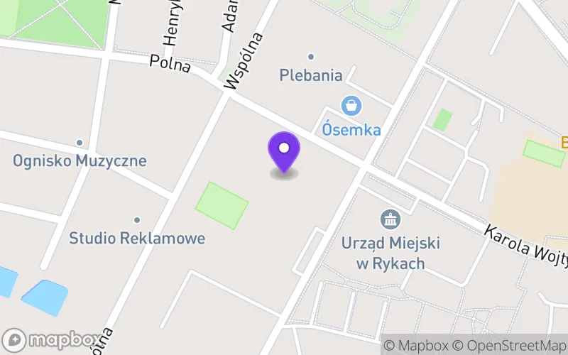 Lokalizacja: Branżowa Szkoła I Stopnia nr 2 w Rykach