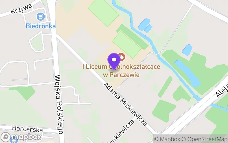 Lokalizacja: I Liceum Ogólnokształcace w Parczewie
