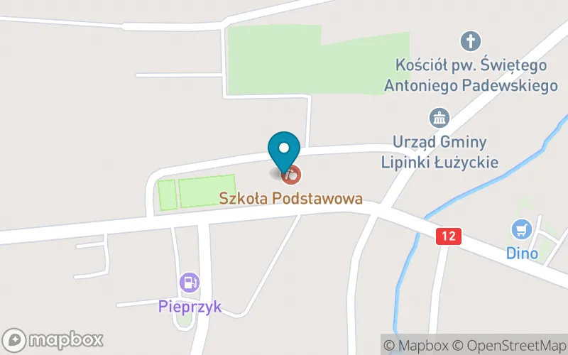 Lokalizacja: Szkoła Podstawowa w Lipinkach Łużyckich im. Prof. Władysława Szafera