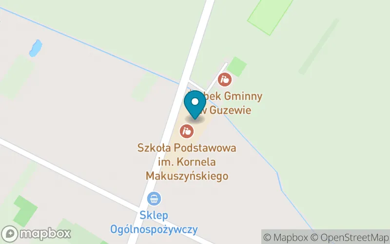 Lokalizacja: Szkoła Podstawowa im. Kornela Makuszyńskiego w Guzewie