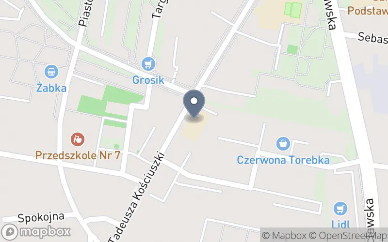 Lokalizacja: Centrum Kształcenia Ustawicznego w Ostrowie Wielkopolskim