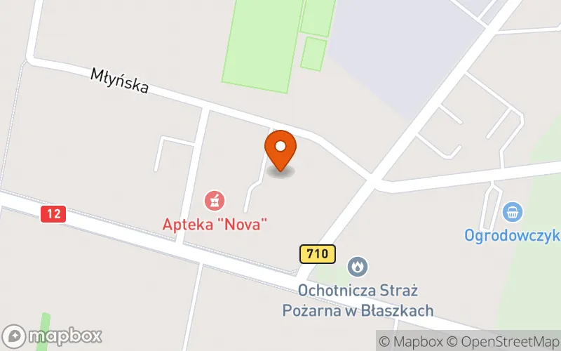 Lokalizacja: Gminny Żłobek w Błaszkach