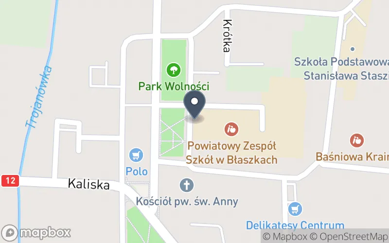 Lokalizacja: Powiatowy Zespół Szkół w Błaszkach