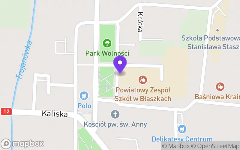 Lokalizacja: Liceum Ogólnokształcące im. Wojska Polskiego w Błaszkach