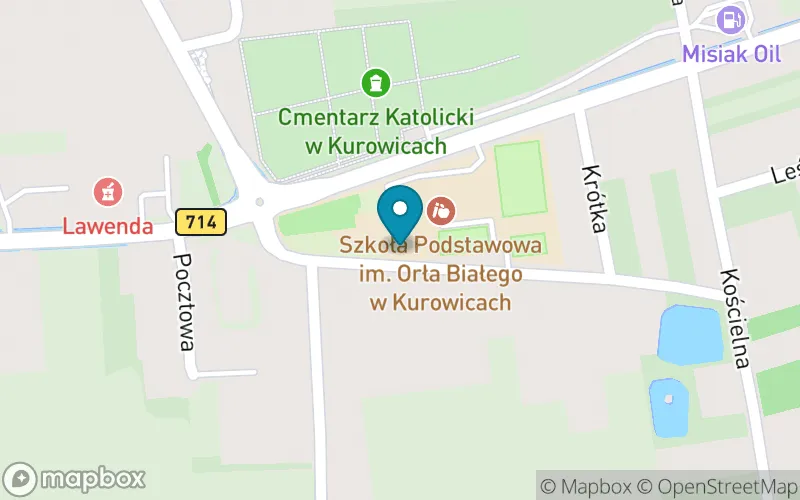 Lokalizacja: Szkoła Podstawowa im. Orła Białego w Kurowicach