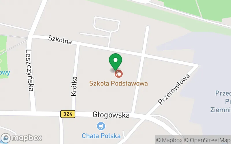 Lokalizacja: Przedszkole w Niechlowie