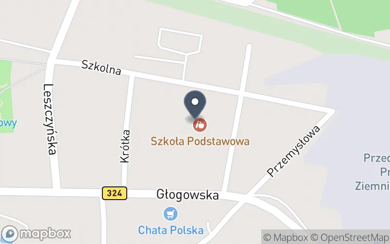 Lokalizacja: Zespół: Szkoła Podstawowa im. Armii Krajowej i Przedszkole w Niechlowie