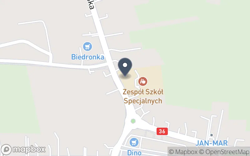 Lokalizacja: Zespół Szkół Specjalnych im. Marii Grzegorzewskiej w Krotoszynie