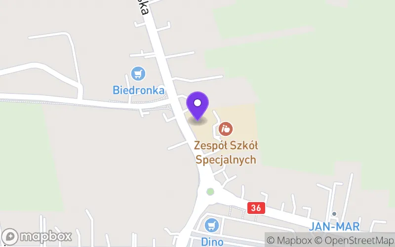 Lokalizacja: Branżowa Szkoła I Stopnia nr 3 Specjalna w Krotoszynie