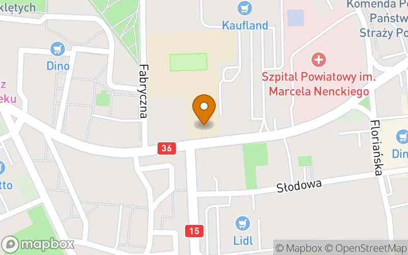 Lokalizacja: Policealna Szkoła Ochrony Zdrowia "Eskulap" w Krotoszynie